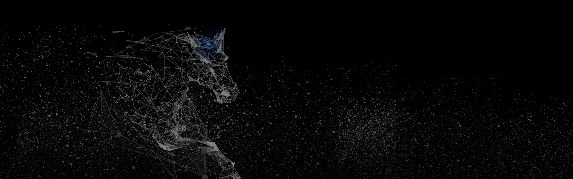 長沙專業的網站建設公司,提供專業的服務讓您放心,安心