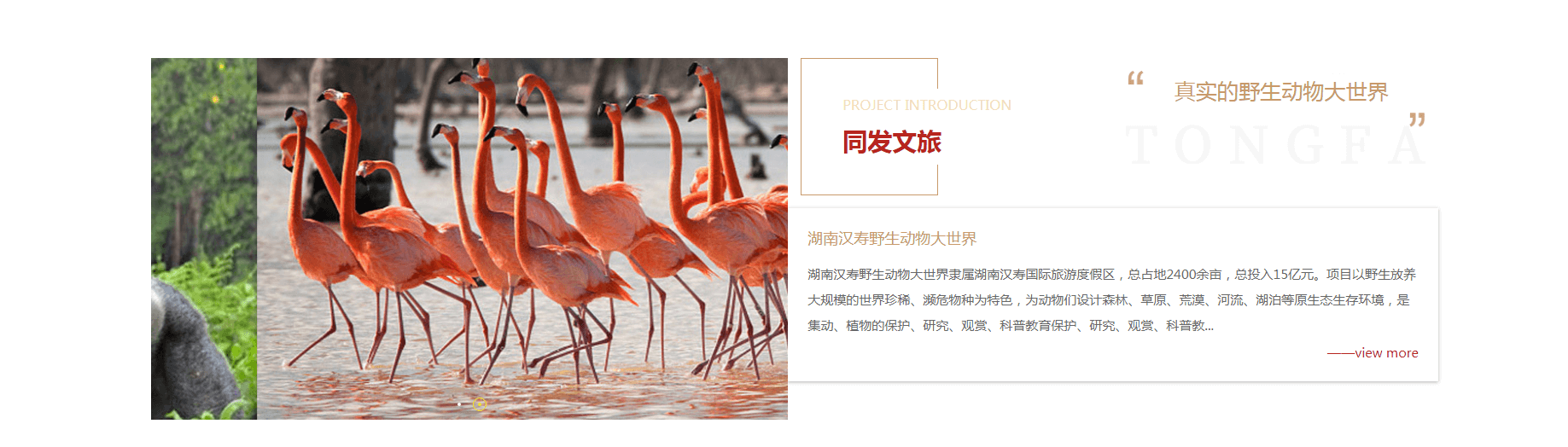 湖南網(wǎng)站建設(shè)案例 湖南網(wǎng)站建設(shè)案例