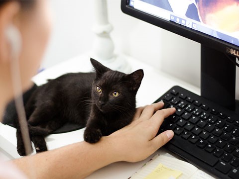 網(wǎng)站建設(shè)對于企業(yè)來說的作用很大! 網(wǎng)站建設(shè)對于企業(yè)來說的作用很大!